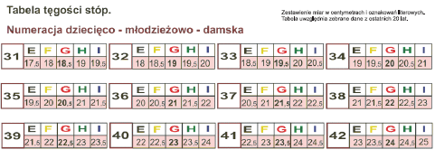 TABELA TĘGOŚĆI DZIECIĘCA DAMSKA.jpg