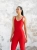 1217_1.webp