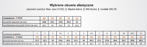 modele treningowe.png